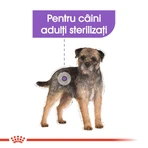 ROYAL CANIN Mini Sterilized Adult, karma sucha dla psów sterylizowanych, 1kg: ceny i cechy