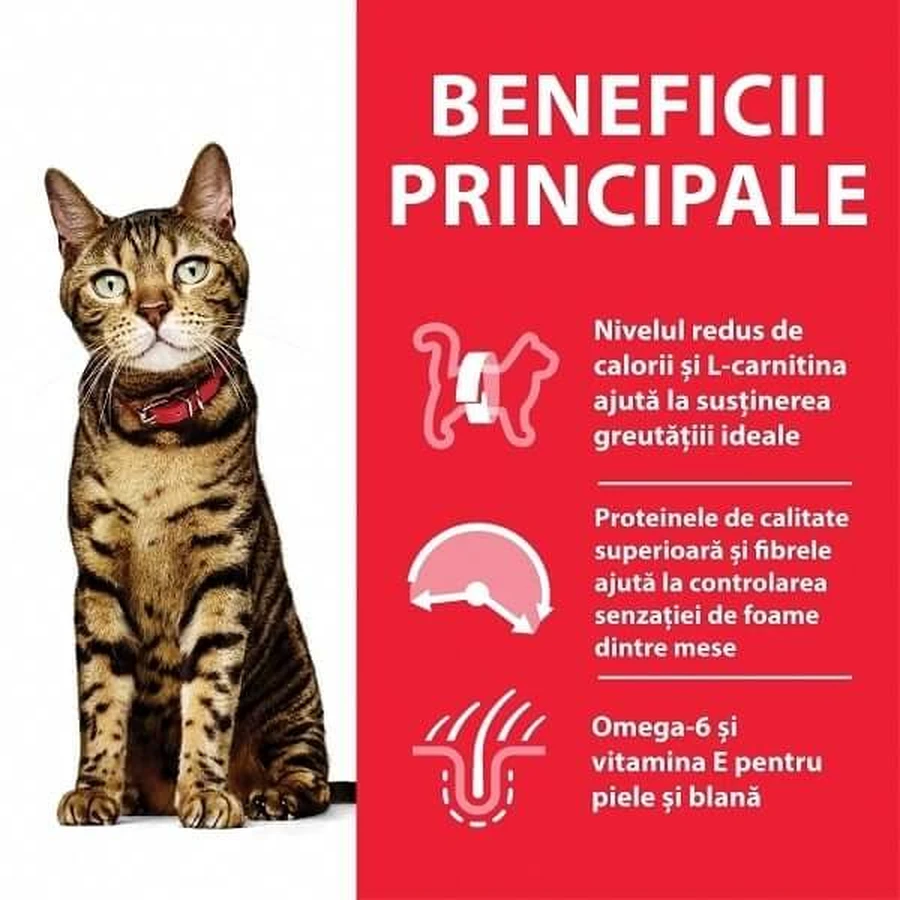 Hill's SP Feline Adult Adult Leichtes Huhn, 1,5 kg