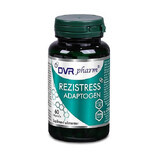 Rezistres Adaptogen, 60 cps, Dvr Pharm