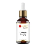 Yango Chlorophyll aus weißer Maulbeere, Tropfen, 30 ml