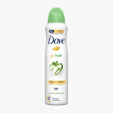 Deodorant pentru femei Cucumber, 150 ml, Dove