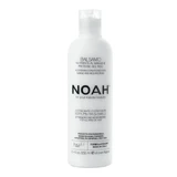 NOAH, leicht zu entwirrende Pflegespülung mit Mango- und Reisproteinen, 250 ml