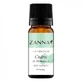 Olio essenziale di cedro dell'Himalaya, 10 ml, Zanna