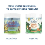 Nordic Berries Multivitamin Original Flavor, jeleuri, 200 buc.