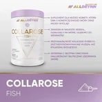 Set mit 2x Allnutrition ALLDEYNN CollaRose Fisch, Orangengeschmack, Pulver, 300 g