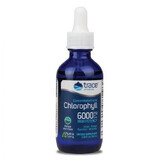 Concentrated ionic chlorophyll liquid 6000 mg, mint flavour, 59 ml, Trace Minerals