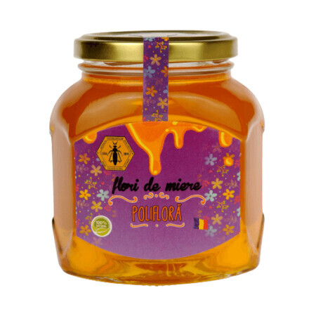 Polyfloral honey, 500 g, Beekeeping Institute