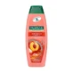 Palmolive Naturals Hydra Balance, șampon și balsam 2 în 1, 350 ml