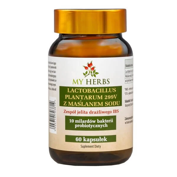 My Herbs Lactobacillus Plantarum 299V mit Natriumbutyrat, Kapseln, 60 Stück
