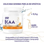ALE BCAA Orange Flavor, poudre, 500 g