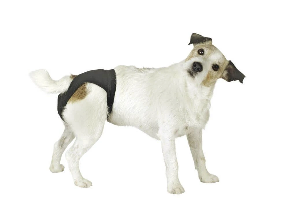 LEOPET LUXUS PANTY 71/78