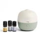 Kit de diffusion Purae Green Abies