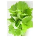 Perilla frunze tăiate ceai de plante 100 Gr