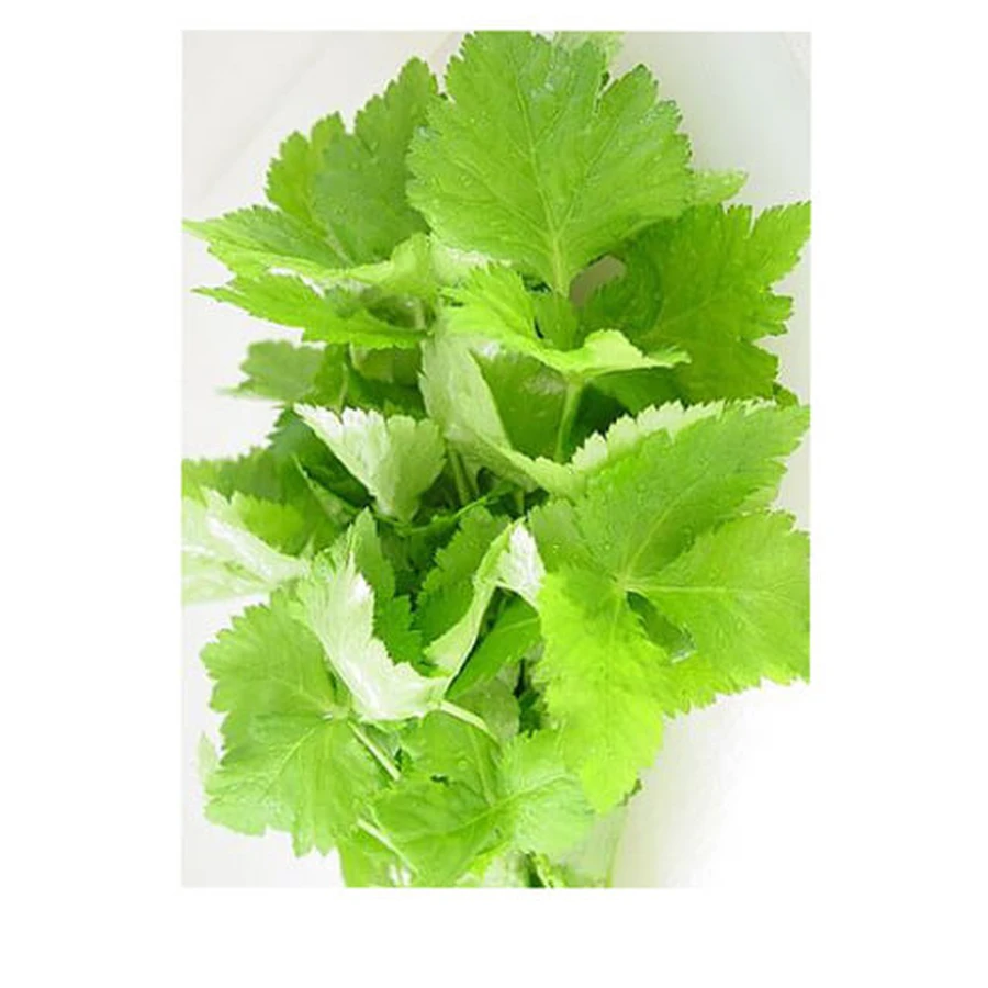 Perilla frunze tăiate ceai de plante 100 Gr