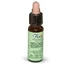 Florit 10 Creme Trinkampullen Apfel/Mel-Tropfen 10 Ml