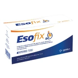 ESOFIX 20STICK SINGLE DOSE 15ML
