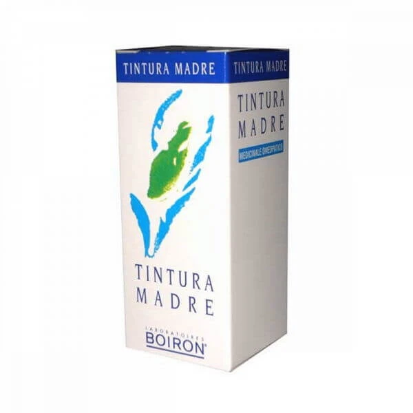 Alfalfa Muttertinktur 60 Ml
