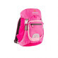 Rucsac Alpine 4 Roz