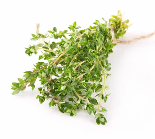 Thymian Vulgaris Blätter 100 Gr