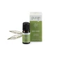 Purae Tea Tree bio - olio essenziale da 30 ml