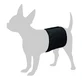 FLAMINGO DOG MUTANDINE 41x12 CM NEGRU