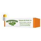 Lip balm with catina oil, grape seeds and orange 4.8 g, Verre de Nature