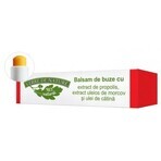 Lip balm with propolis, carrot and catina extract 4.8 g, Verre de Nature