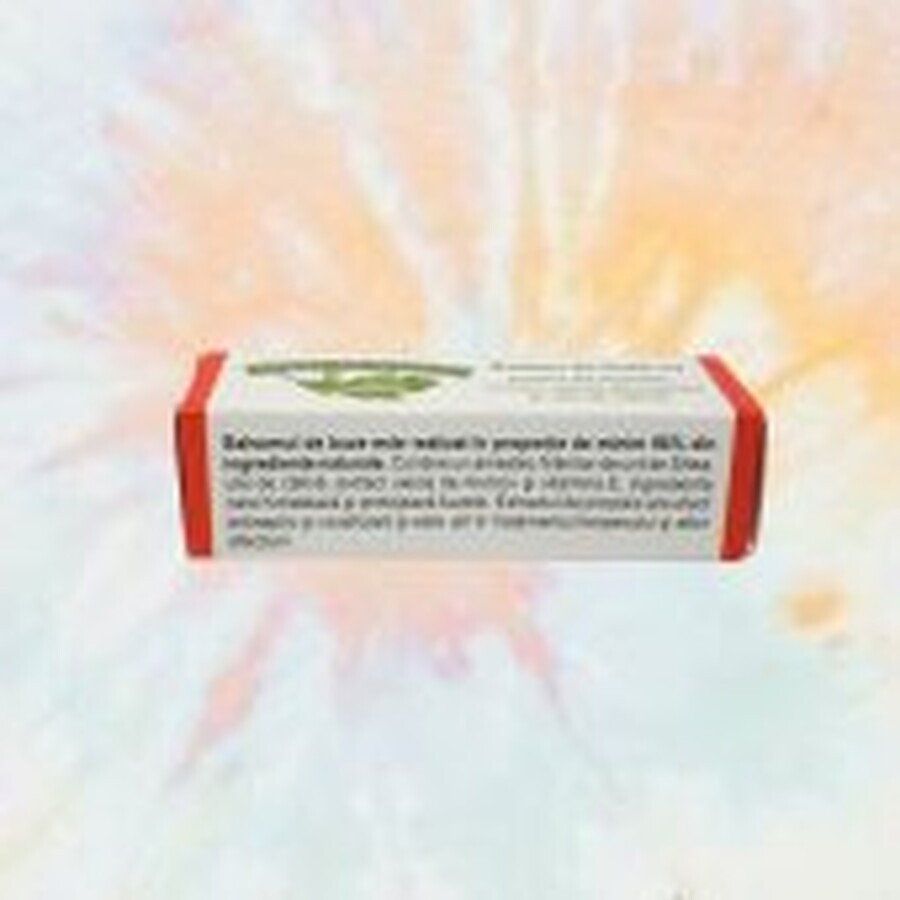 Lip balm with propolis, carrot and catina extract 4.8 g, Verre de Nature