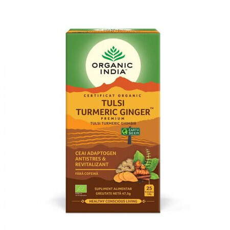 Thé adaptogène curcuma et gingembre, 25 sachets, Inde biologique