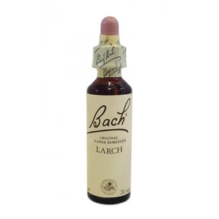 Bach Center Ess Larch 20ml