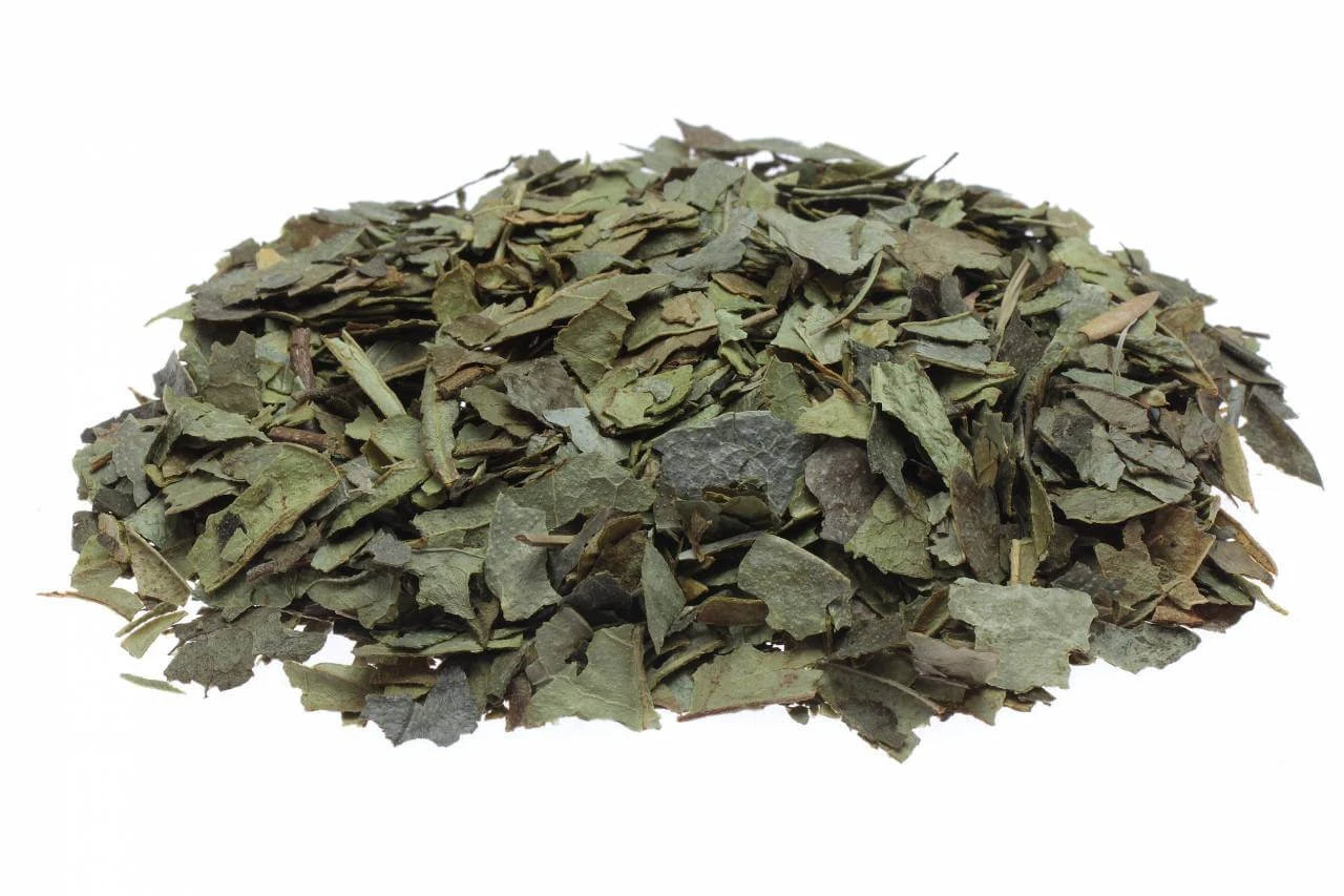 Boldo von Chile Blätter für Kräutertee 100 g