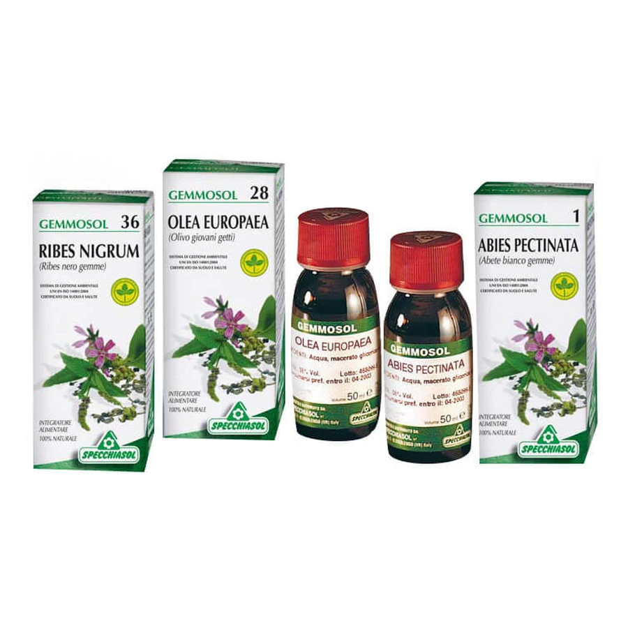 Chestnut 1 DH Gems 50ml