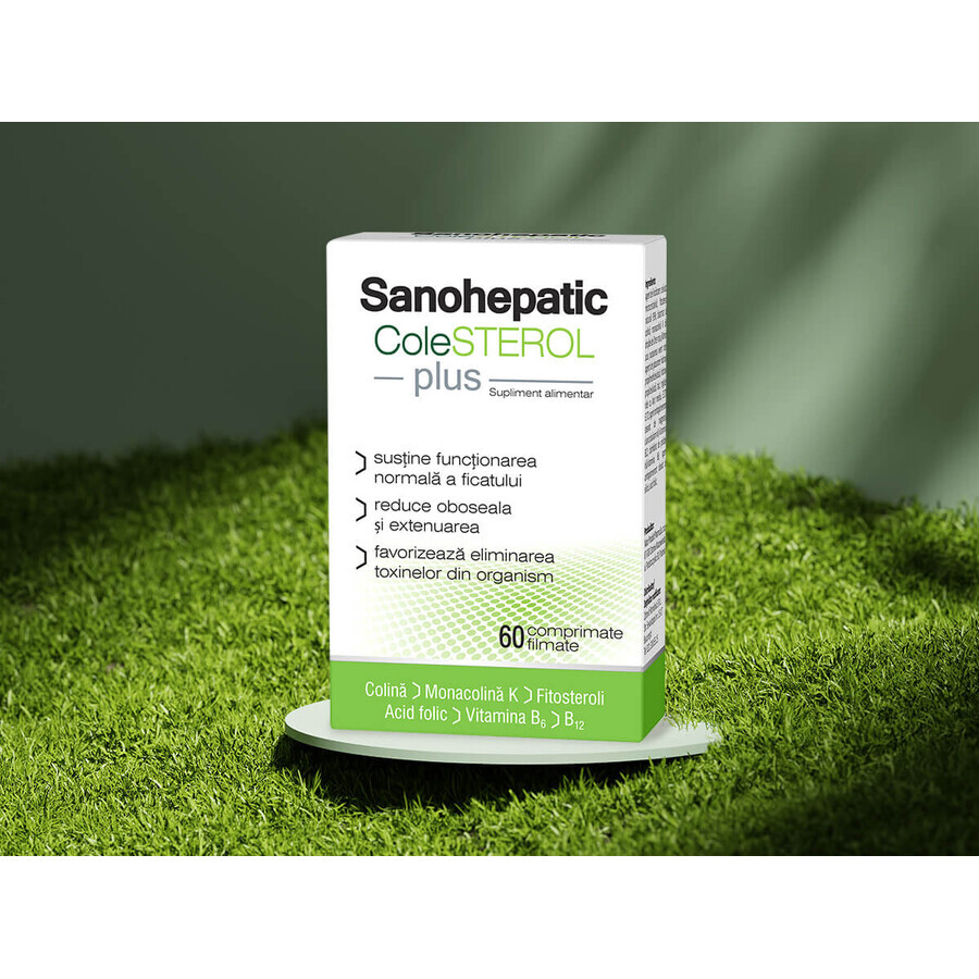 Sanohepatic COLESTEROL Plus, 60 Filmtabletten, Zdrovit