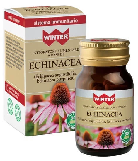 WINTER-ECHINACEA 30CPS VEG