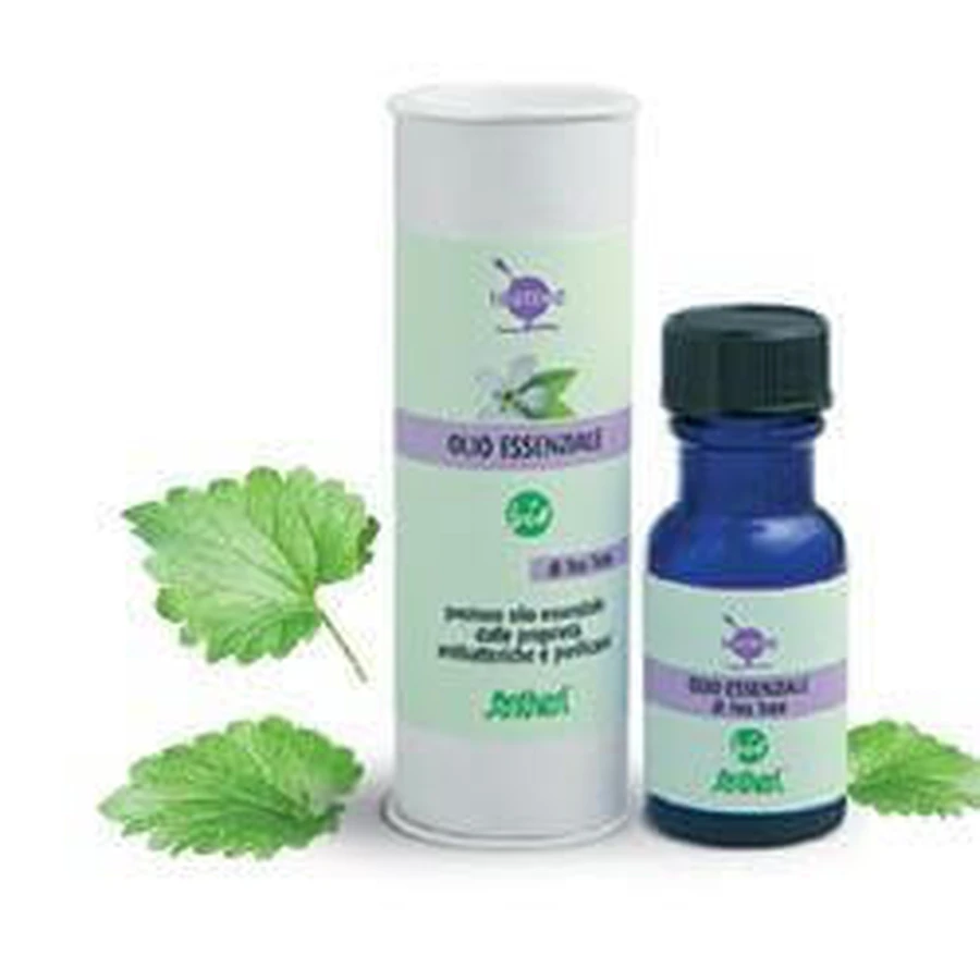 OLEJEK Z DRZEWA HERBACIANEGO ESS BIO 15ML: ceny i cechy