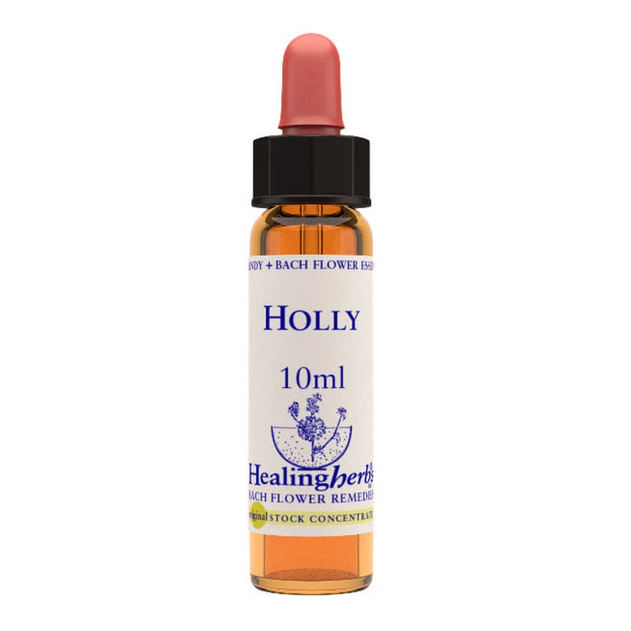 Stechpalmenessenz 10 Ml 1 Stück