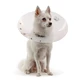 KVP COLLARE ELISABETTIANO SAF-T-SHIELD 25-34 CM