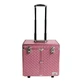 GEREEDSCHAP-2-GROOMING ALUMINIUM TROLLEY TG. MEDIUM