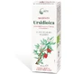 Ursidioica Macerat Caira Gtt