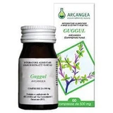 GUGGUL 60 Kps ACN