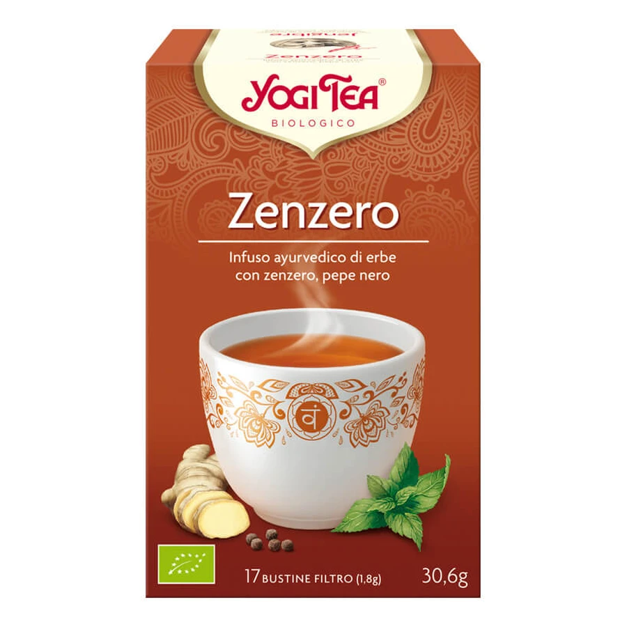 YOGI TEE BIO-INGWER 17FILTER