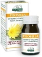 Pilosella Extracto Titulado 60 Comprimidos Giorgini