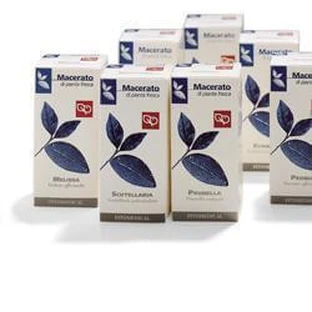 BERENDRUIF TM 50ML