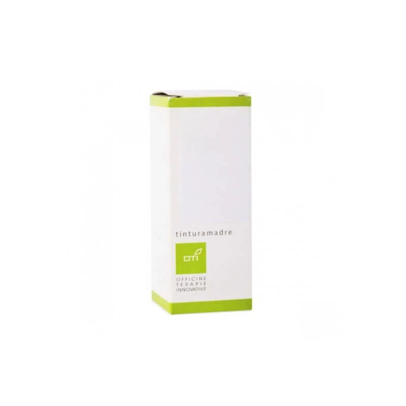 HOLUNDER URTINKTUR GTT100ML