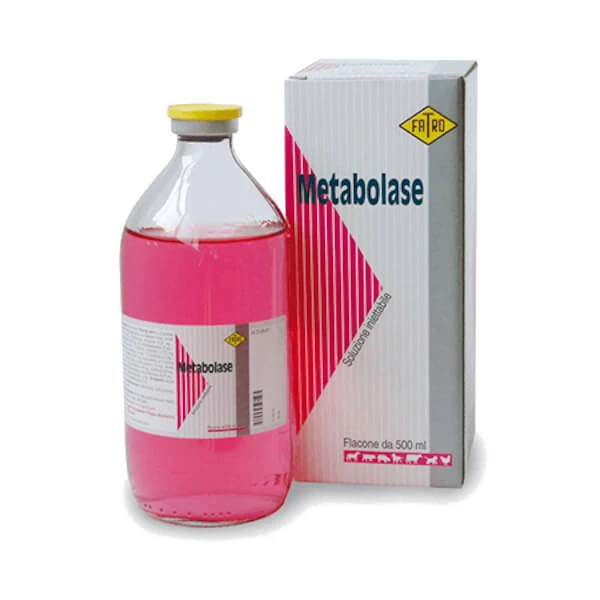 Metabolase Injektionslösung 1 Flasche 500ml