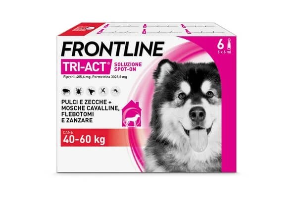 Frontline Tri-Act 6 Pipetten Antiparasitikum XL Hunde und Welpen 40-60kg