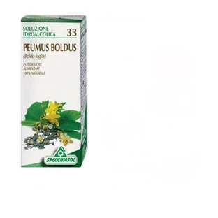 Boldo 33 Mother Tincture 50ml