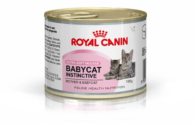 FELINE HN BABYCAT INSTI 10 195