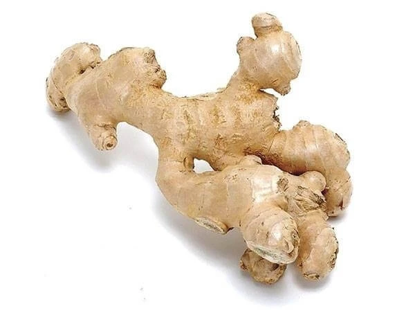 Ganzer Ingwer Rhizom 100 Gr