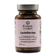 Kiroot Lactoferrine 60 gélules